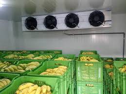 Freon Based Ripening Chambers