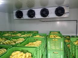 Freon Based Ripening Chambers